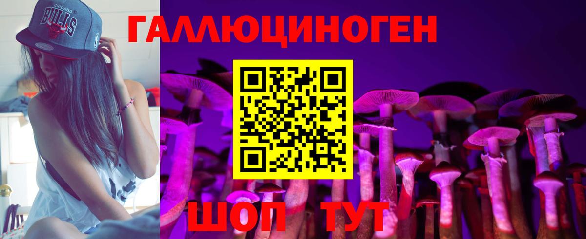 Псилоцибиновые грибы Psilocybine cubensis Подольск